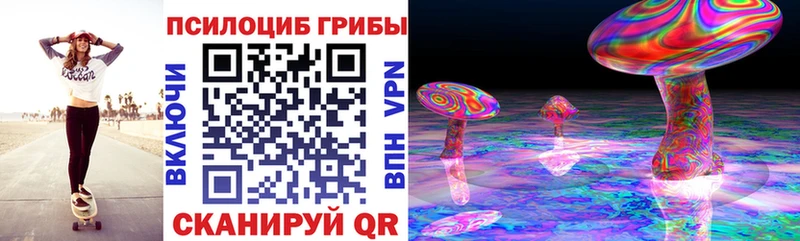 Галлюциногенные грибы Psilocybe Углич