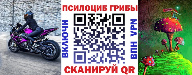 закладки  Углич  Псилоцибиновые грибы ЛСД 